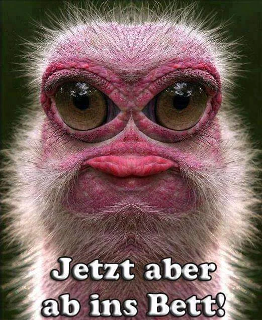 bett.webp
