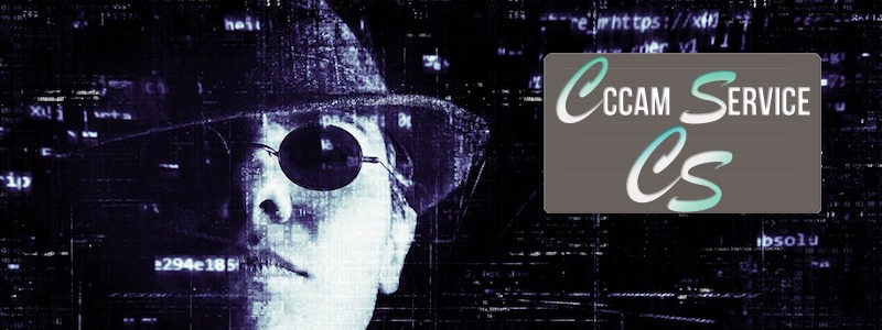 CCAM-SERVICE-Cybercrime.jpg