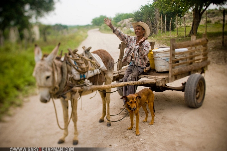 donkey cart.jpg