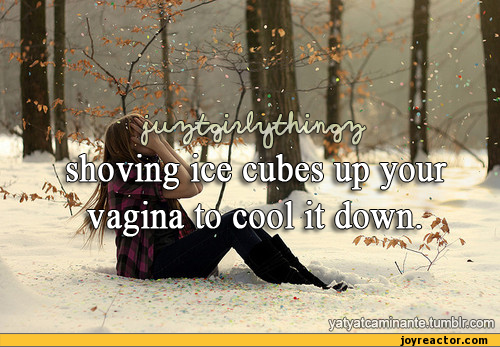 funny-pictures-auto-ice-vagina-381872.png