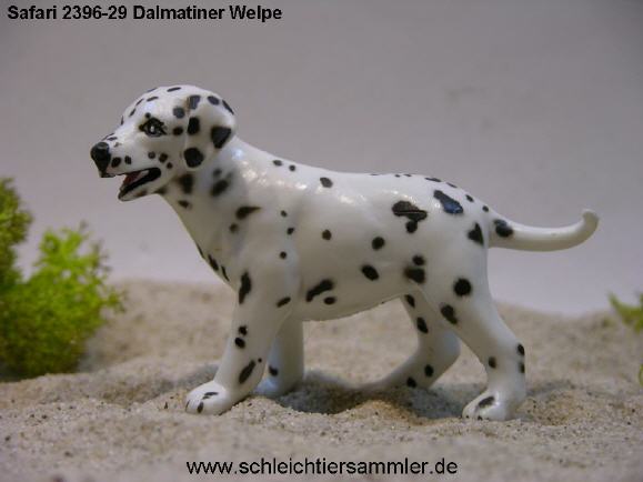 safari239629dalmatinerwelpe_579.jpg