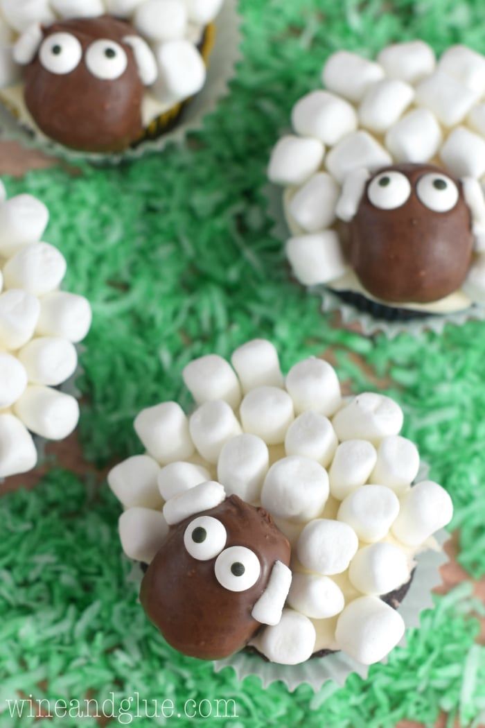 Sheep Cupcakes.jpg