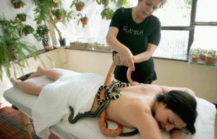 snake-massage.jpg
