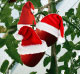tomatenpfahl-avatar-weihnachten.jpg