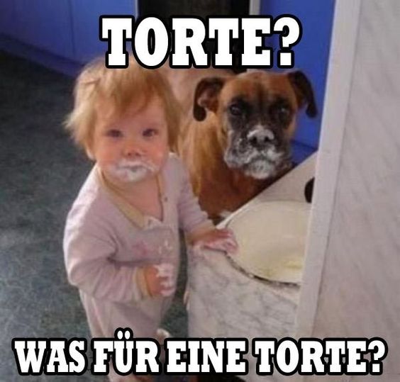 torte.jpg