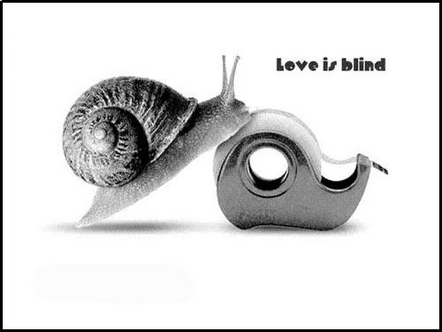 uh43048,1253795124,Love-is-blind.jpg