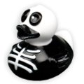 skull-duck.jpg