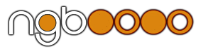 ngb-a3.png