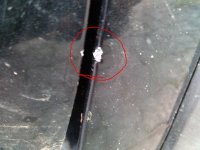 IMG_20130817_195537.jpg