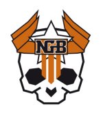 NGB SKULL Kopie.jpg