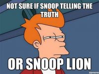snoop-lion-meme.jpg