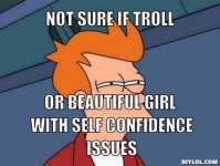 futurama-fry-meme-generator-not-sure-if-troll-or-beautiful-girl-with-self-confidence-issues-dd93.jpg