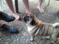 2013-08-17 19.42.47.jpg