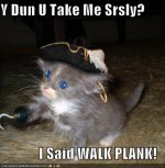 piratekitty.jpg