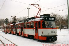 1199-3.jpg