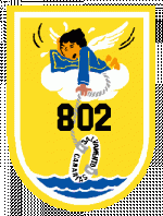 802.gif