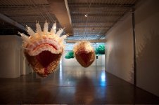 Jason Hackenwerth1.jpg