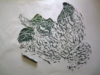 Kris Trappeniers2.jpg