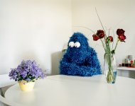 Cosplay-Cookie-Monster-01.jpg