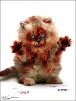 zombie-cat-01.jpg