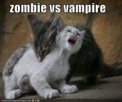 zombie-cats6.jpg