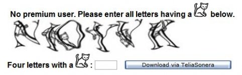 catcaptcha.jpg