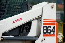 bobcat-864.JPG