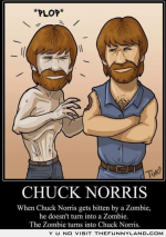 When-Zombie-Bites-Chuck-Norris_large.png