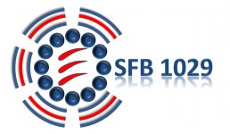 SFB_1029_logo.jpg