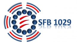SFB_1029_logo.jpg