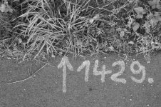 1429.jpg