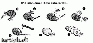 kiwi.0.gif
