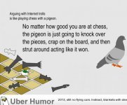 72-pigeon-chess-dfe25802-sz850x637-animate.jpg