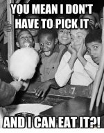 food_o_820372 Kopie.jpg