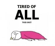 tired-of-all-this-shit.jpeg