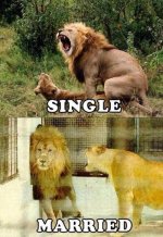 single-married.jpg