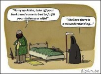 Burka%20(Misunderstanding...%5B1024x768%5D2wtmk.jpg