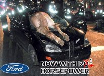 51_now-with-171-horsepower.jpg