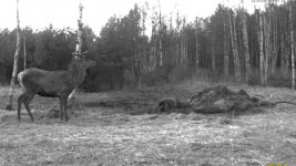 Zwischenablage04.jpg