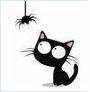 katze spinne.gif