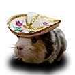 hamster.png