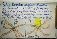 echte_krake_selber_bauen.jpg