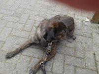 2012-09-07 18.05.24.jpg