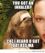 funny-creepy-sloth-inhaler.jpg