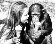 Girl-eating-ice-cream-with-a-chimpanzee-John-Drysdale-200160.jpg