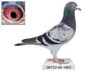 06723-06-1663 - Koopman-Schellens.jpg