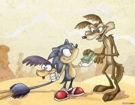 sonic vs roadrunner.jpg