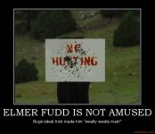 elmer-fudd-is-not-amused-fudd-demotivational-poster-1263231765.jpg