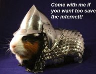 Infamous+Guardien.+hamster+in+armour_bb217b_5040666.jpg