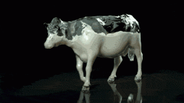 how+to+make+milk+shake+2.+how+to+make+milk_0fb29b_5167197.gif